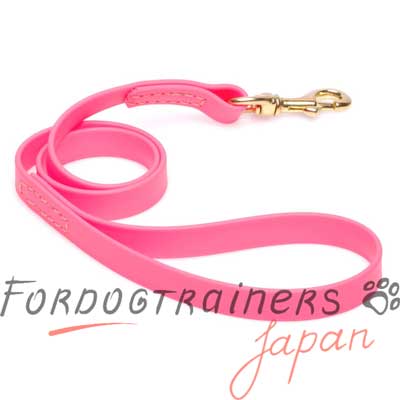 FDT 犬用品　販売