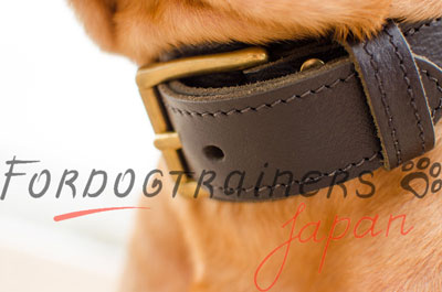 ボルドー・マスティフ犬の訓練用犬の2枚革製首輪