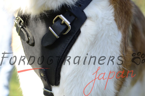 大型犬　ハーネス　革