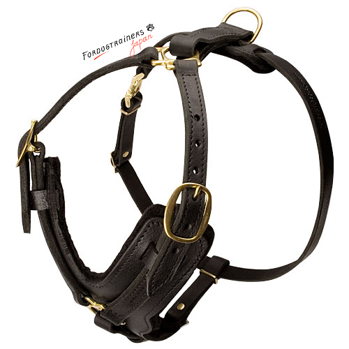 Leather dog harness for english best sale bulldog