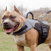 アムスタッフ犬用ナイロンのジャケット型ハーネス アムスタッフ犬用ナイロンのジャケット型ハーネス