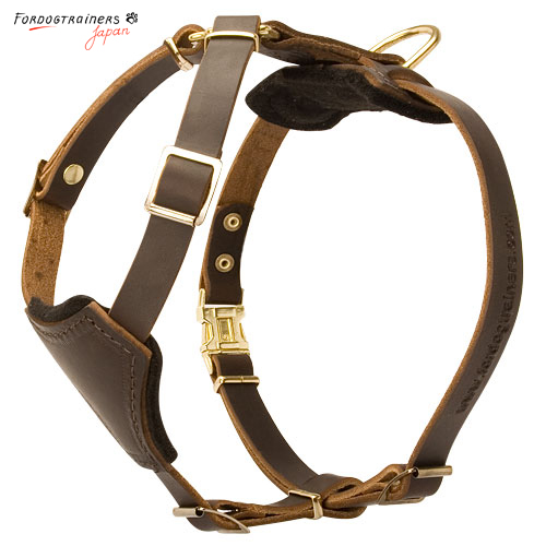 leather harness for small size dogs