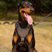 ドーベルマン用スパイク付き革の犬用ハーネス ドーベルマン用スパイク付き革の犬用ハーネス