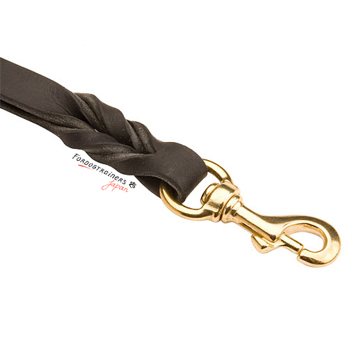 leather dog leash for walking and training
