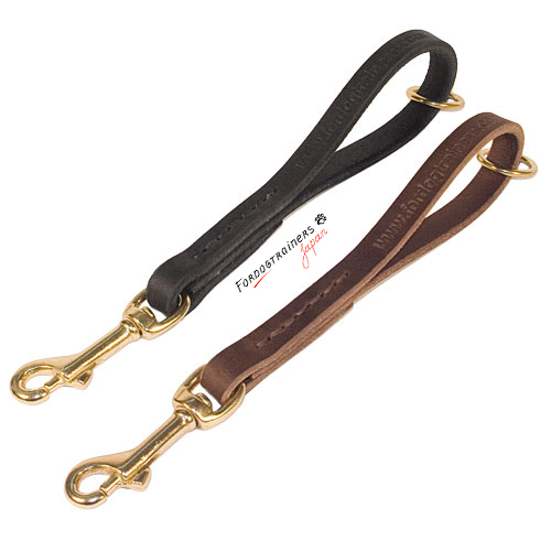 Short leashes for walking and training dogs