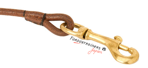 leather dog show leash