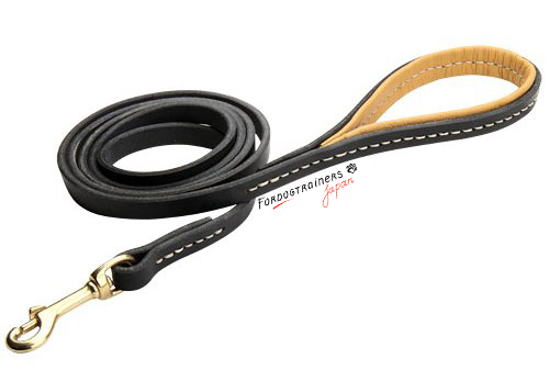 leather lead for mid size and small dogs