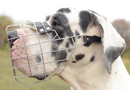 大型犬用バスケット型口輪