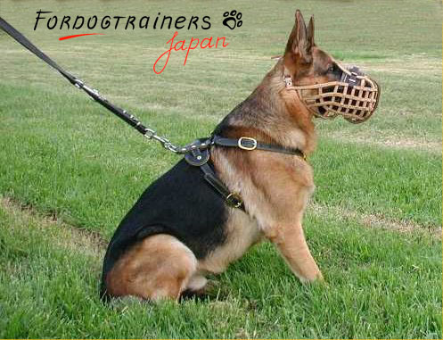 ジャーマン・シェパード・ドッグに合う警察犬用口輪