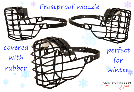dog muzzle covered with rubber for cold season