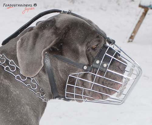 大型犬用口輪