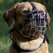 中・大型犬用ワイヤー製口輪 中・大型犬用ワイヤー製口輪