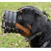 通気性がよい革製犬用口輪(マズル) 通気性がよい革製犬用口輪(マズル)