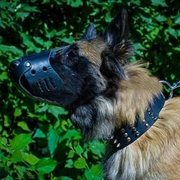 犬の日常用 革製口輪 犬の日常用 革製口輪