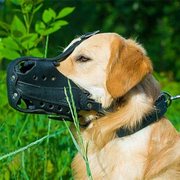 犬訓練用革製の口輪 犬訓練用革製の口輪