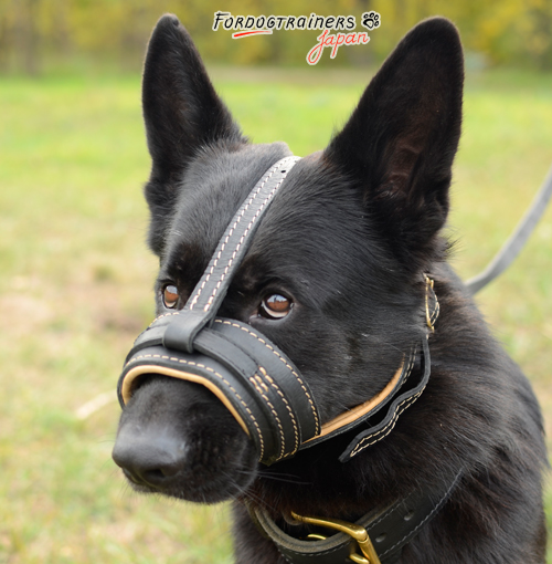 本革犬の口輪