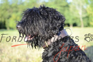 大型犬用二重革首輪 大型犬用二重革首輪