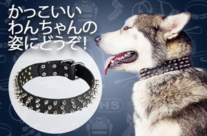 オーバルコンチョ付きホワイトの本革製首輪