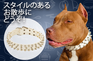 小・中型犬用ニッケルのスタッズ付き首輪