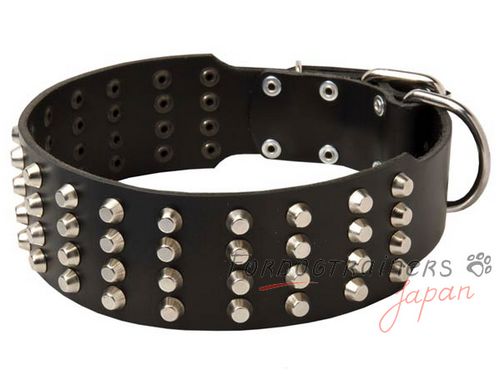 四列スパイク付　革製首輪