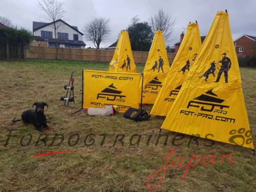 Dog Training Como
