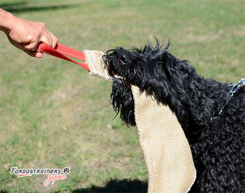 犬のジュートトーイ