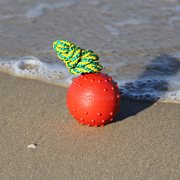 ひも付き天然ゴム製ボール (6 cm) ひも付き天然ゴム製ボール (6 cm)