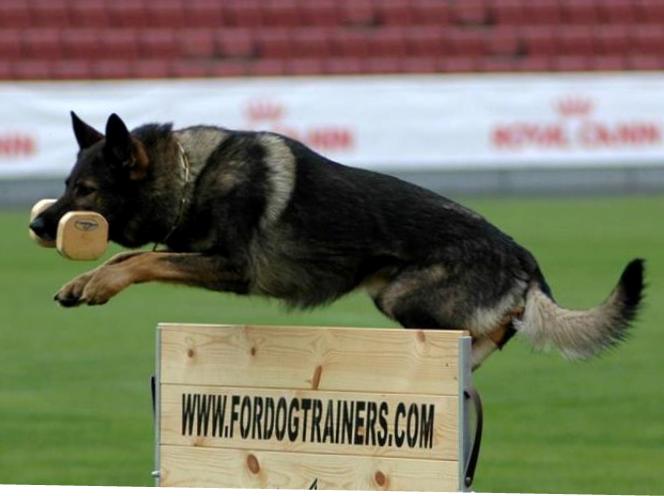 犬訓練用木製ハードル