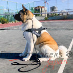 犬訓練用品であるハーネス 犬に安全なナイロン製 犬訓練用品であるハーネス 犬に安全なナイロン製