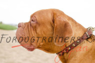 大型犬用レザー首輪 おしゃれなデザイン ゴールドスタッズ付き 25mm 大型犬用レザー首輪 おしゃれなデザイン ゴールドスタッズ付き 25mm