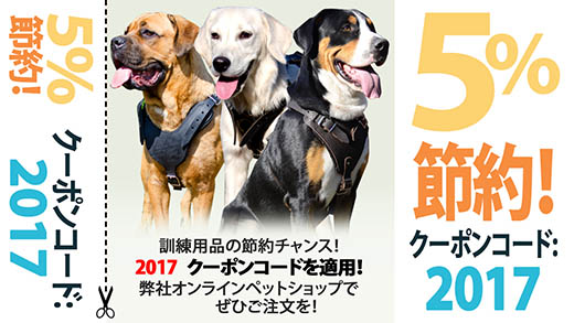 5% Banner 5% Banner