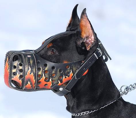 装飾された犬用マズル・口輪