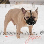 フレンチブルドッグ　マズル　本革製　黒