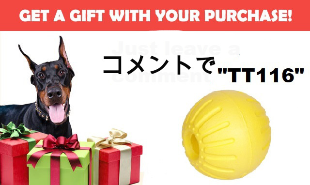 プレゼント