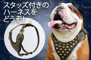 大型犬　ハーネス　革