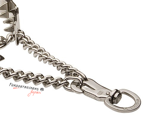 Metal prong collar for dog training