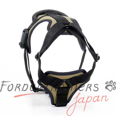 FDT 犬用品　通販