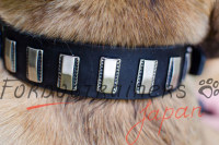 犬　首輪　かっこいいデザイン　本革製　プレート付き