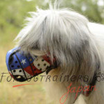 シェパード　口輪　アメリカ国旗柄　上質な本革製