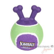小型犬　遊びボール　安全なゴム製　ハンドル付き　18 cm