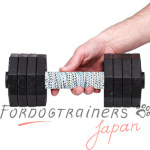 犬 ストレス 発散用ドッグスポーツ ダンベル 2kg 犬 ストレス 発散用ドッグスポーツ ダンベル 2kg