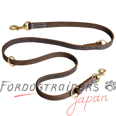 FDT 犬用品　通販