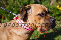 大型犬 首輪 ピンク カネコルソ にぴったり合う犬用品 大型犬 首輪 ピンク カネコルソ にぴったり合う犬用品