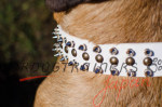 大型犬 散歩 しつけにぴったり合う首輪 ホワイト革製 40mm 大型犬 散歩 しつけにぴったり合う首輪 ホワイト革製 40mm