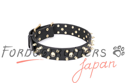 FDT Artisan かっこいい犬用首輪（ゴールド）