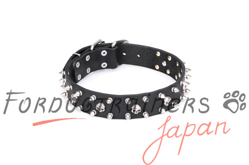 FDT Artisan かっこいいデザイン首輪