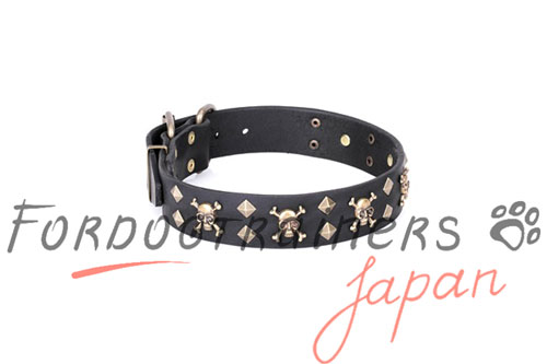 FDT Artisan 首輪　海賊スタッズ