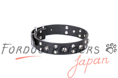 FDT ARTISAN 'Mystic Skulls' デザインカラー