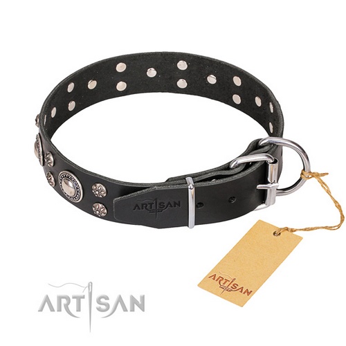 FDT Artisan　犬用首輪　販売