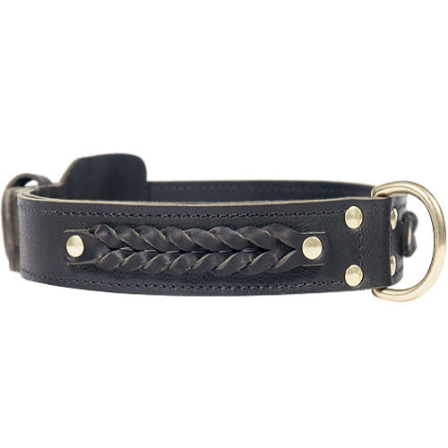 2 Ply Leather Decorated Dog Collar